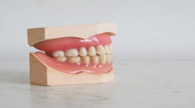 fun dental facts set of teeth